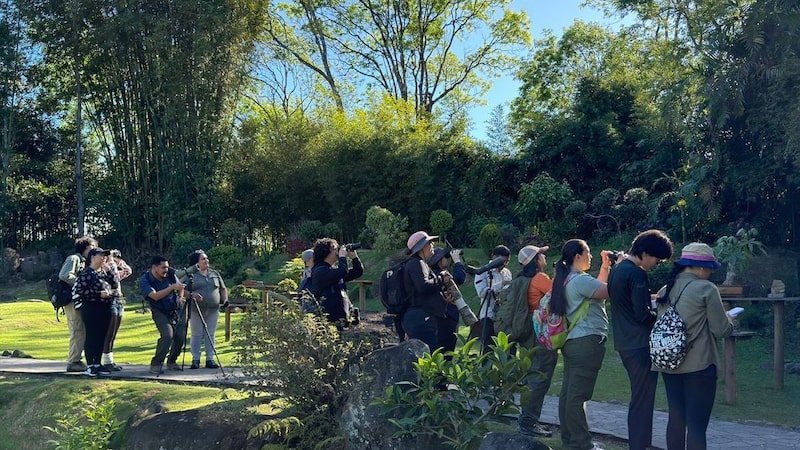 Centroamérica encuentra en el aviturismo una vía para proteger bosques y atraer visitantes Centroamérica encuentra en el aviturismo una vía para proteger bosques y atraer visitantes