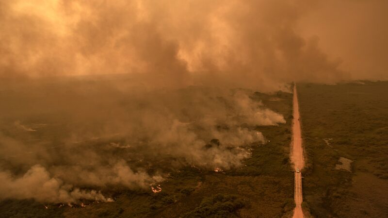 El humo de los incendios forestales se cierne sobre el dosel del bosque en los humedales del Pantanal, Brasil. El humo de los incendios forestales se cierne sobre el dosel del bosque en los humedales del Pantanal, Brasil.