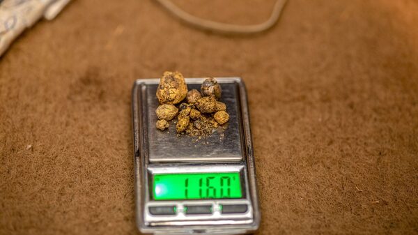 Se intensifican las fusiones y adquisiciones de oro, pero las mineras prometen disciplina Se intensifican las fusiones y adquisiciones de oro, pero las mineras prometen disciplina