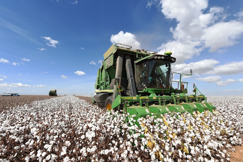 Las previsiones que anuncian un tiempo seco en las zonas de cultivo de EE.UU. se sumaron al repunte. Las previsiones que anuncian un tiempo seco en las zonas de cultivo de EE.UU. se sumaron al repunte.