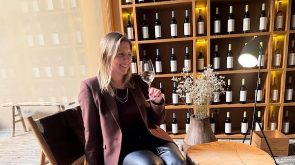 Nem zero, nem excesso: vinícola gaúcha aposta em álcool reduzido para novo público Nem zero, nem excesso: vinícola gaúcha aposta em álcool reduzido para novo público