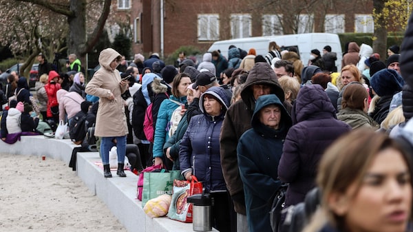 Imigração deve ser desmistificada e mostrada com escolhas e custos, diz especialista Imigração deve ser desmistificada e mostrada com escolhas e custos, diz especialista