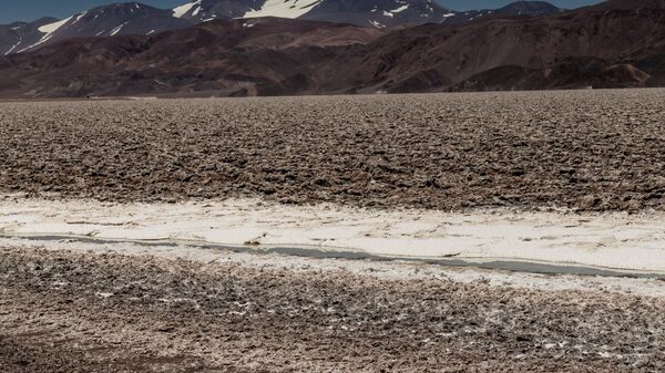 Central Puerto suma una pata más en la minería al comprar acciones de un proyecto de litio Central Puerto suma una pata más en la minería al comprar acciones de un proyecto de litio