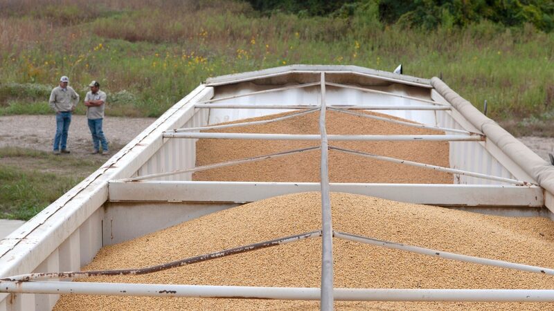 Da soja ao frango: China suspende tarifas sobre produtos agrícolas dos EUA após acordo Da soja ao frango: China suspende tarifas sobre produtos agrícolas dos EUA após acordo