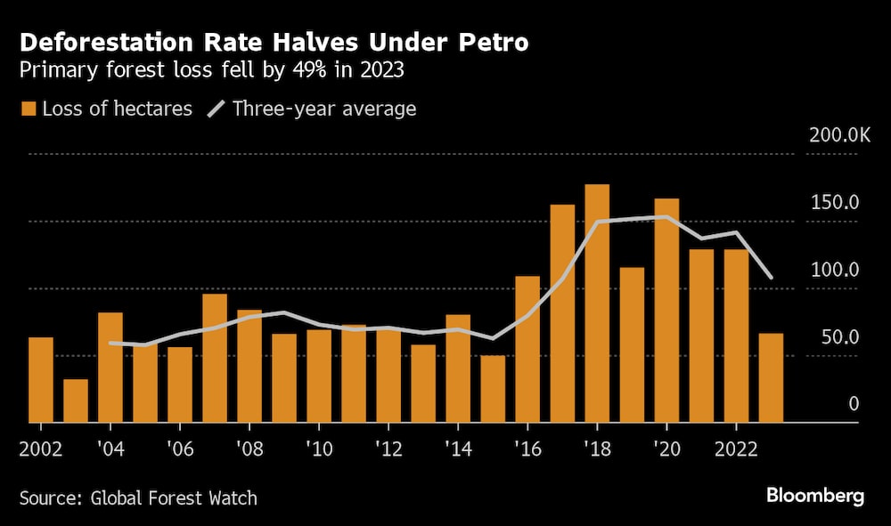 La tasa de deforestación se reduce a la mitad bajo el gobierno de Petro La tasa de deforestación se reduce a la mitad bajo el gobierno de Petro