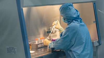 Estudio de Harvard revela el trabajo con más riesgo de cáncer por radiación, entre 500 empleos Estudio de Harvard revela el trabajo con más riesgo de cáncer por radiación, entre 500 empleos