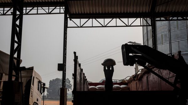 Gigante da soja nos EUA, Corteva mira expansão no Brasil com sementes modificadas Gigante da soja nos EUA, Corteva mira expansão no Brasil com sementes modificadas