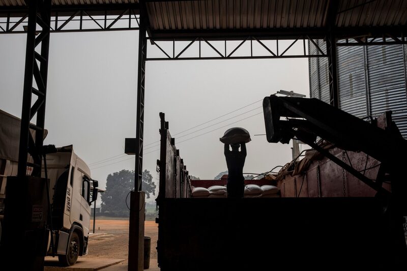 CEO diz ver potencial para conquistar até 30% do território da produção brasileira (Foto: Victor Moriyama/Bloomberg) CEO diz ver potencial para conquistar até 30% do território da produção brasileira (Foto: Victor Moriyama/Bloomberg)