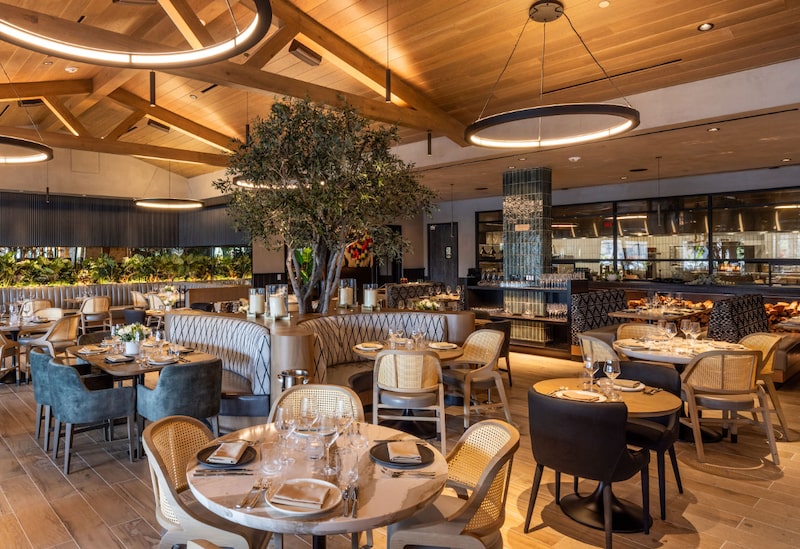 Grupo Carolo Grupo Carolo