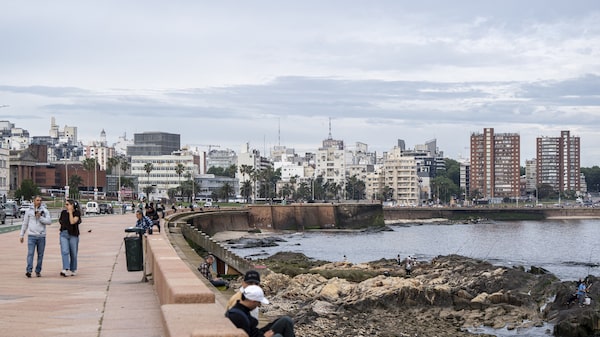 Brasil perde milionários, enquanto Uruguai, Panamá e Costa Rica se destacam em LatAm Brasil perde milionários, enquanto Uruguai, Panamá e Costa Rica se destacam em LatAm