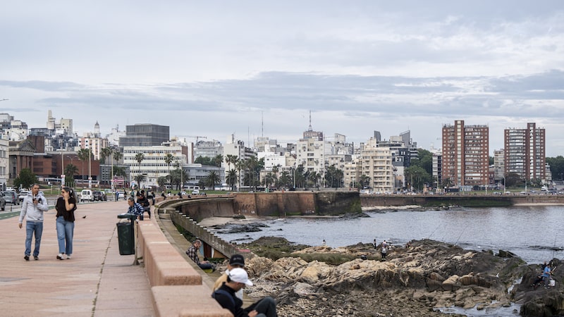 América Latina tem três países entre os destinos mais atraentes para milionários América Latina tem três países entre os destinos mais atraentes para milionários
