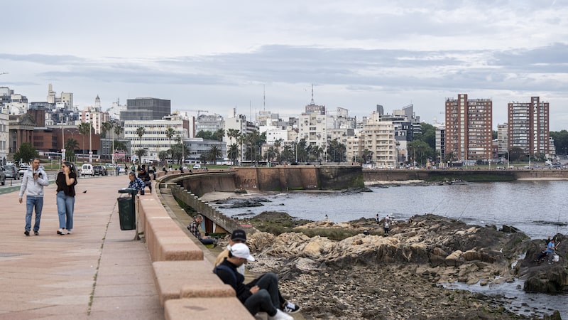 Tres países de América Latina figuran entre los destinos que más atraen millonarios en 2026 Tres países de América Latina figuran entre los destinos que más atraen millonarios en 2026