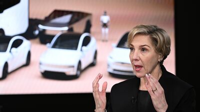 Presidente do conselho da Tesla defende liderança de Musk em IA e robôs Presidente do conselho da Tesla defende liderança de Musk em IA e robôs