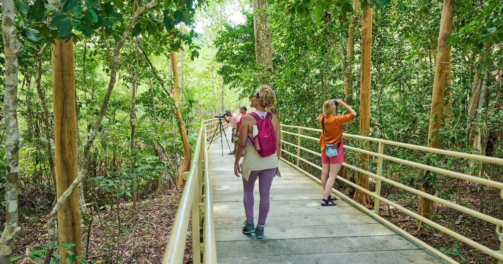 Turistas en el Parque Nacional Manuel Antonio, provincia Puntarenas, Costa Rica. Turistas en el Parque Nacional Manuel Antonio, provincia Puntarenas, Costa Rica.