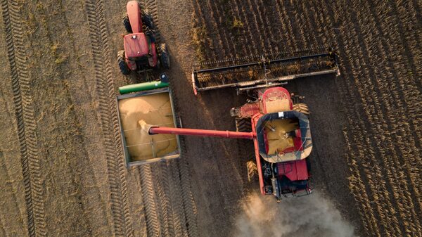 Agricultores dos EUA enfrentam crise de armazenamento de soja sem demanda chinesa Agricultores dos EUA enfrentam crise de armazenamento de soja sem demanda chinesa