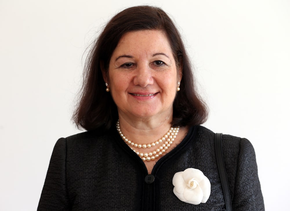 Maria Luiza Ribeiro Viotti, embaixadora do Brasil em Washington Maria Luiza Ribeiro Viotti, embaixadora do Brasil em Washington