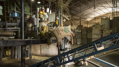 El mundo tendrá más café, pero el excedente previsto podría no frenar la volatilidad de los precios El mundo tendrá más café, pero el excedente previsto podría no frenar la volatilidad de los precios