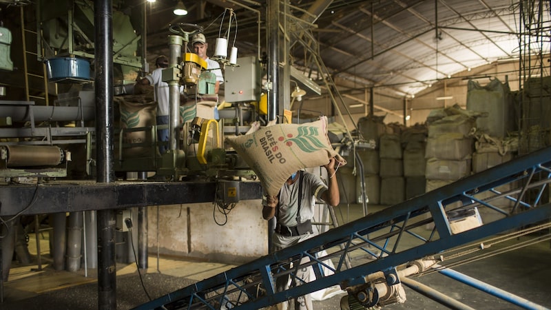 El mundo tendrá más café, pero el excedente previsto podría no frenar la volatilidad de los precios El mundo tendrá más café, pero el excedente previsto podría no frenar la volatilidad de los precios