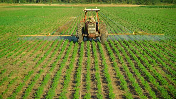 Fertilizantes: ¿por qué Colombia los importa y qué empresas traen más del exterior? Fertilizantes: ¿por qué Colombia los importa y qué empresas traen más del exterior?