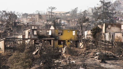 Cómo el calor y una megasequía prepararon a Chile para devastadores incendios forestales Cómo el calor y una megasequía prepararon a Chile para devastadores incendios forestales