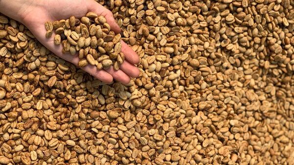 Estos son los mejores cafés de Centroamérica en 2023 Estos son los mejores cafés de Centroamérica en 2023