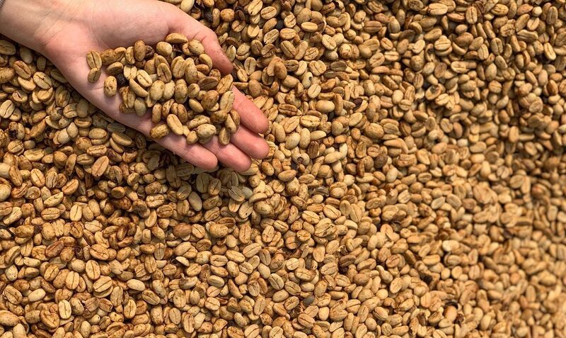 El honey es un proceso de secado del café. El honey es un proceso de secado del café.