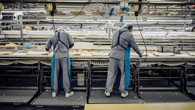 China mira maiores exportadores de carne suína da Europa em investigação antidumping China mira maiores exportadores de carne suína da Europa em investigação antidumping