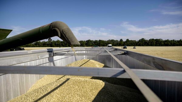 Críticas de Putin al acuerdo de granos aumenta temor sobre los precios de alimentos Críticas de Putin al acuerdo de granos aumenta temor sobre los precios de alimentos