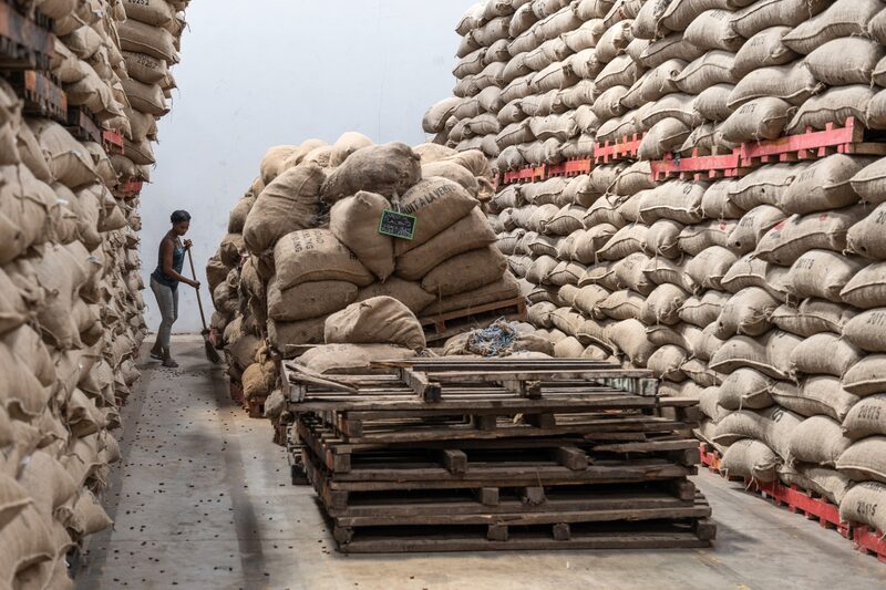 Las malas cosechas en los principales productores, Costa de Marfil y Ghana, llevaron a los futuros del cacao a alcanzar precios récord en 2024. Las malas cosechas en los principales productores, Costa de Marfil y Ghana, llevaron a los futuros del cacao a alcanzar precios récord en 2024.