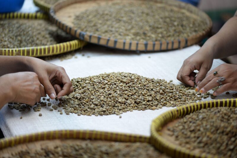 Onda de frio no Brasil foi outra má notícia para plantações já prejudicadas pela seca e pela pior geada em duas décadas Onda de frio no Brasil foi outra má notícia para plantações já prejudicadas pela seca e pela pior geada em duas décadas