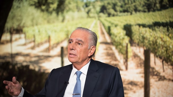 La estrategia de Bulgheroni para copar el mercado argentino con vinos orgánicos La estrategia de Bulgheroni para copar el mercado argentino con vinos orgánicos