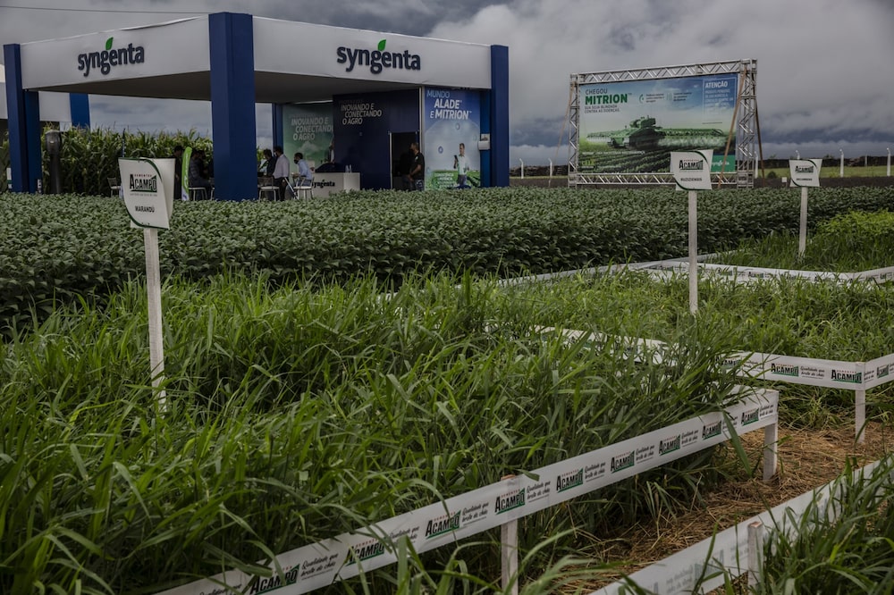 Teste a campo da Syngenta: companhia reforça a presença junto aos produtores como parte da estratégia para enfrentar o ciclo adverso do agronegócio. (Foto: Dado Galdieri/Bloomberg) Teste a campo da Syngenta: companhia reforça a presença junto aos produtores como parte da estratégia para enfrentar o ciclo adverso do agronegócio. (Foto: Dado Galdieri/Bloomberg)