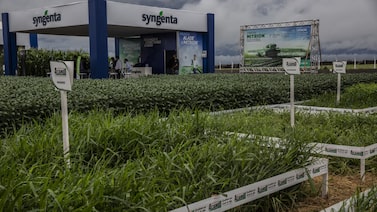 Syngenta entra com pedido confidencial de IPO de US$ 5 bi em Hong Kong, dizem fontes Syngenta entra com pedido confidencial de IPO de US$ 5 bi em Hong Kong, dizem fontes