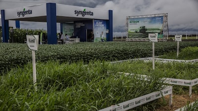 ‘Volta ao campo’: a estratégia da Syngenta no Brasil para atravessar o ciclo adverso do agro ‘Volta ao campo’: a estratégia da Syngenta no Brasil para atravessar o ciclo adverso do agro