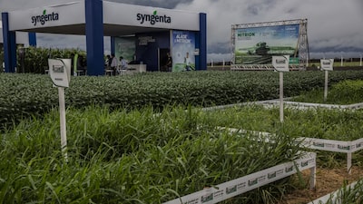 Syngenta entra com pedido confidencial de IPO de US$ 5 bi em Hong Kong, dizem fontes Syngenta entra com pedido confidencial de IPO de US$ 5 bi em Hong Kong, dizem fontes