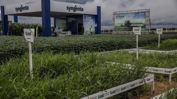 Syngenta entra com pedido confidencial de IPO de US$ 5 bi em Hong Kong, dizem fontes Syngenta entra com pedido confidencial de IPO de US$ 5 bi em Hong Kong, dizem fontes