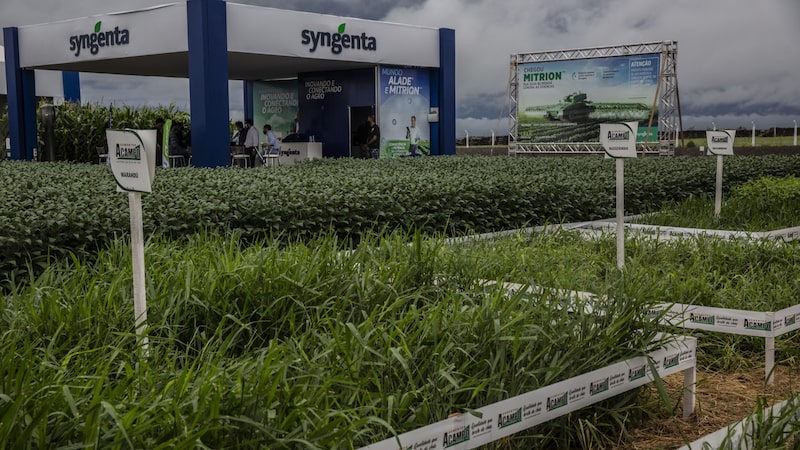 Syngenta entra com pedido confidencial de IPO de US$ 5 bi em Hong Kong, dizem fontes Syngenta entra com pedido confidencial de IPO de US$ 5 bi em Hong Kong, dizem fontes