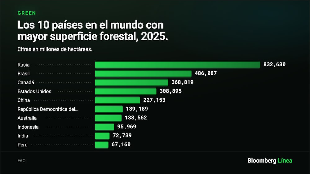 Bosques Bosques