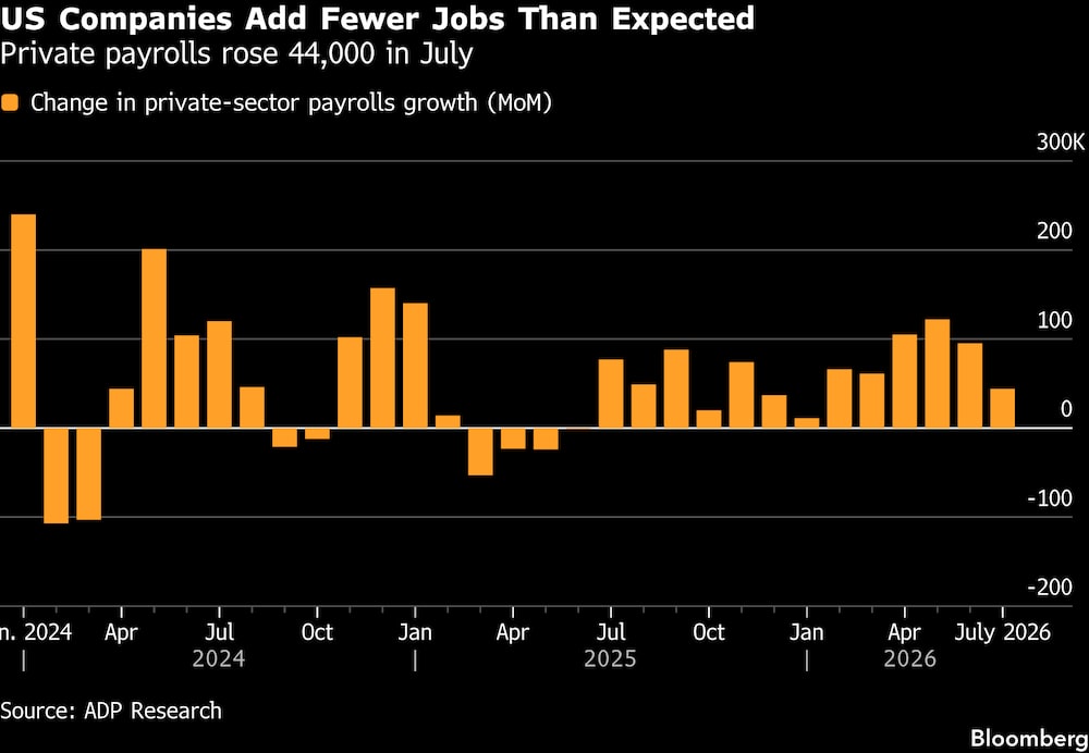 El empleo en el sector privado aumentó en 44.000 puestos en julio. El empleo en el sector privado aumentó en 44.000 puestos en julio.