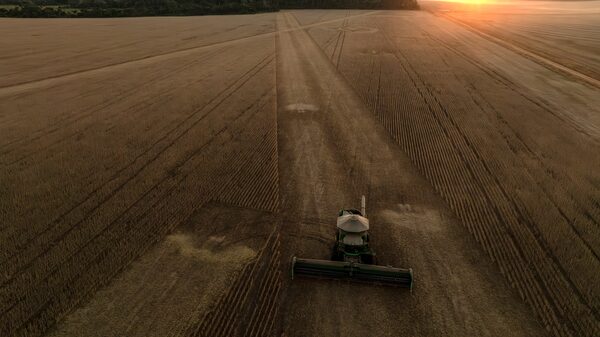 Adiamento em regra ambiental da UE afeta tradings e favorece a soja do Brasil Adiamento em regra ambiental da UE afeta tradings e favorece a soja do Brasil