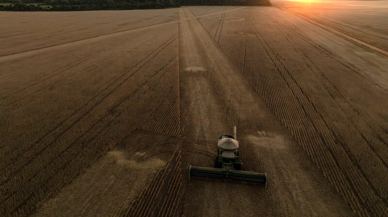 plantação de soja plantação de soja