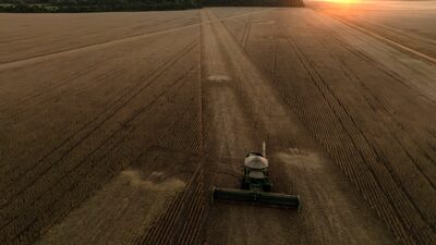 Adiamento em regra ambiental da UE afeta tradings e favorece a soja do Brasil Adiamento em regra ambiental da UE afeta tradings e favorece a soja do Brasil