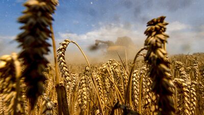 Kepler Weber fecha maior contrato em 5 anos para planta de etanol de trigo no RS Kepler Weber fecha maior contrato em 5 anos para planta de etanol de trigo no RS