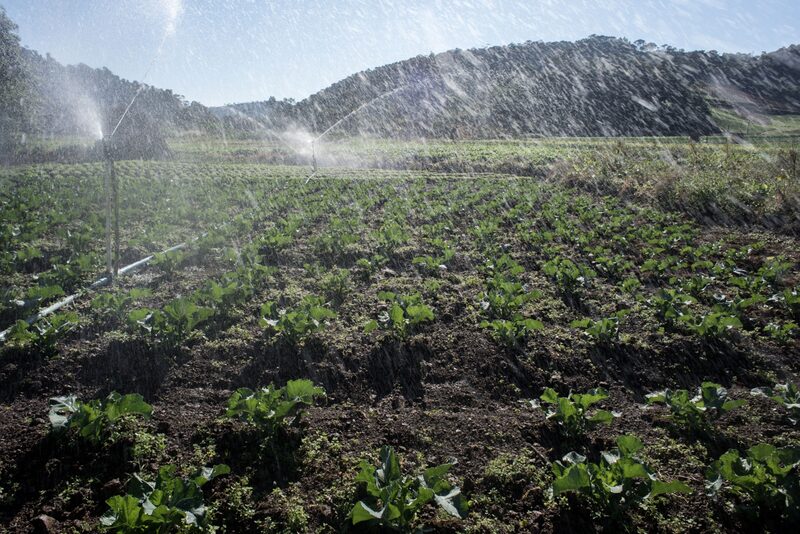 Oferta pública de distribuição de Certificados de Recebíveis do Agronegócio (CRA) vinculada ao MST não cumpriu com as regras, segundo a área técnica do MST Oferta pública de distribuição de Certificados de Recebíveis do Agronegócio (CRA) vinculada ao MST não cumpriu com as regras, segundo a área técnica do MST
