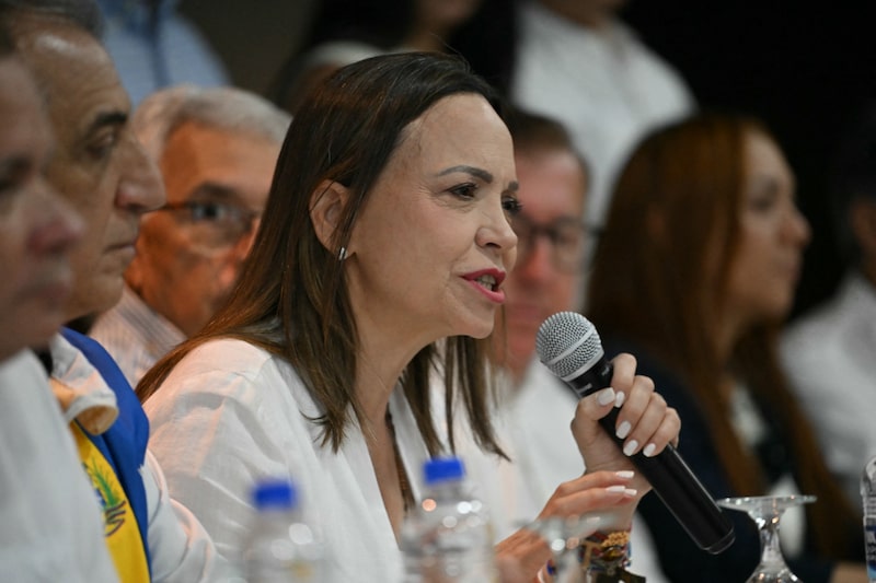 María Corina Machado interviene durante una reunión pública mientras sostiene un micrófono, acompañada por dirigentes políticos y representantes de la oposición venezolana. María Corina Machado interviene durante una reunión pública mientras sostiene un micrófono, acompañada por dirigentes políticos y representantes de la oposición venezolana.