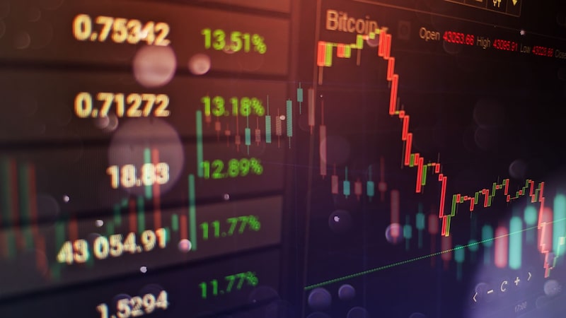 Crédito: (Shutterstock) Crédito: (Shutterstock)