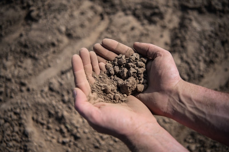 Apesar do plantio da soja já estar liberado, as precipitações ainda não estão regulares e a semeadura pode atrasar novamente Apesar do plantio da soja já estar liberado, as precipitações ainda não estão regulares e a semeadura pode atrasar novamente