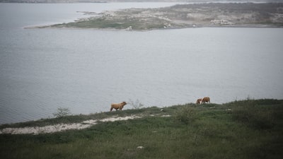 Sequía frena a industria química en el estado mexicano de Tamaulipas Sequía frena a industria química en el estado mexicano de Tamaulipas