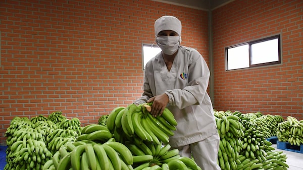 Comercio exterior de Bolivia: las exportaciones crecieron 35% y las importaciones, 46% Comercio exterior de Bolivia: las exportaciones crecieron 35% y las importaciones, 46%