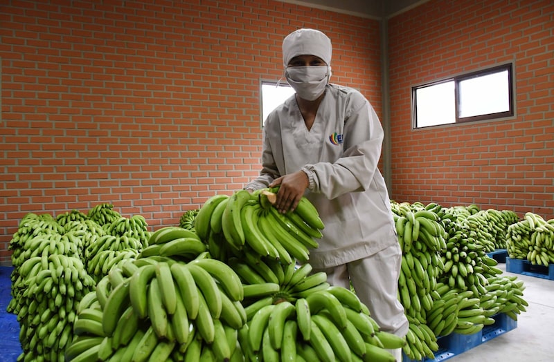 Fuente: Ministerio de Desarrollo Productivo y Economía Plural Fuente: Ministerio de Desarrollo Productivo y Economía Plural